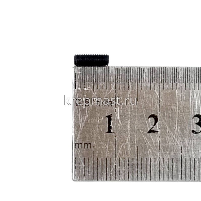 Винт уст. 3х 8 12,9 DIN 913плоск.конц.вн/ш черн