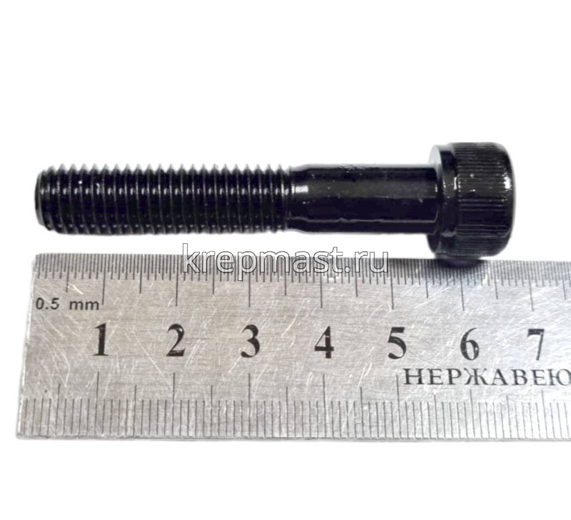 Винт с внутр.шестигранником 10 х 55 черный кл.пр.12,9 н/р DIN 912